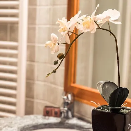 Daire Bijoux Des Alpes Verrand-courmayeur *